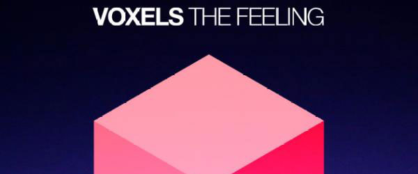 Voxels
