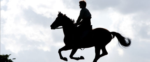 “Cavalo de Guerra”