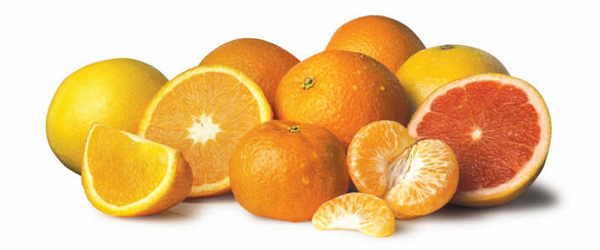 rdb_citrusorange_header