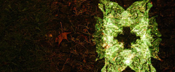 BlackKoyote_header
