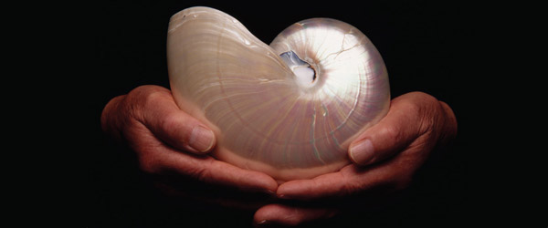 “A Espiral da Vida” | Nick Lane