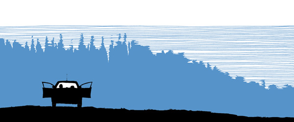 “Irmão Lobo” | Carla Maia de Almeida