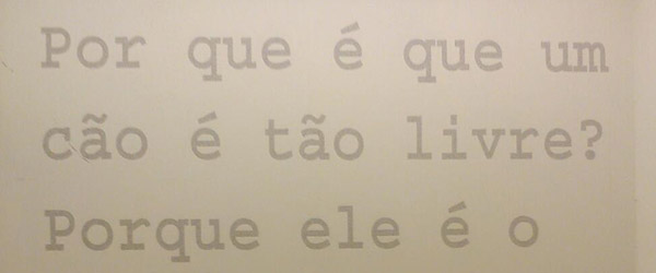 Clarice Lispector – Casa Brasil