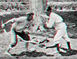 rdb_cinecoa13_video