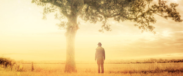 “Colheita” | Jim Crace