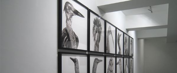 Mitologías, Manuel Vilariño – Carlos Carvalho Arte Contemporânea