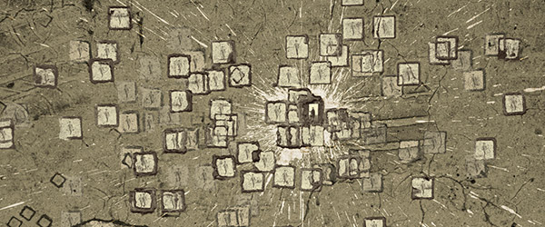 Exposição “Grifo” na Galeria das Salgadeiras