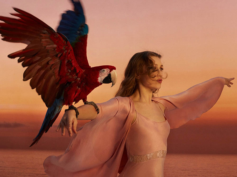 Joanna Newsom – «Make Hay»
