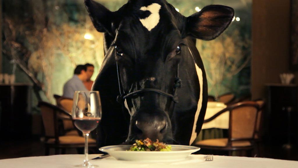 animal_politico