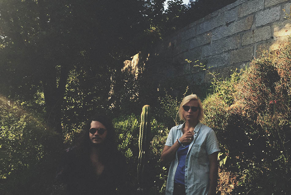 The Sunflowers | Entrevista