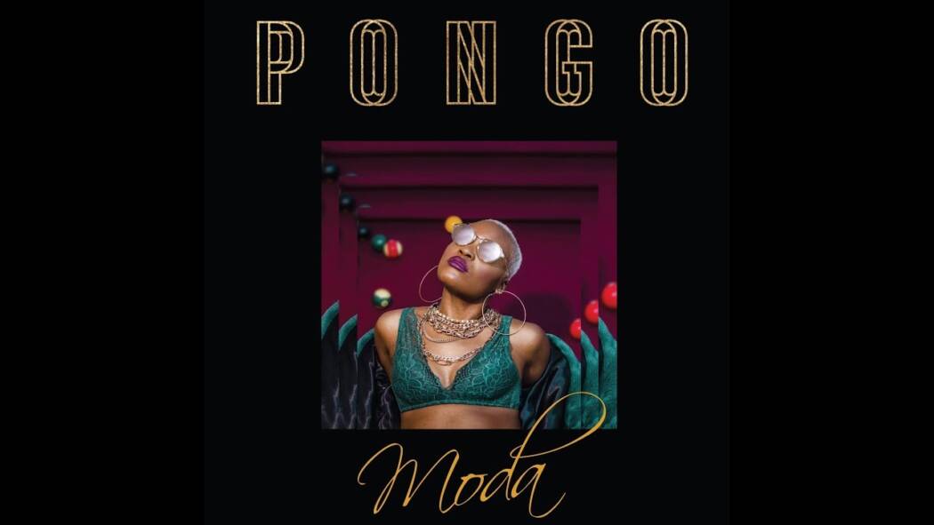 pongo_moda