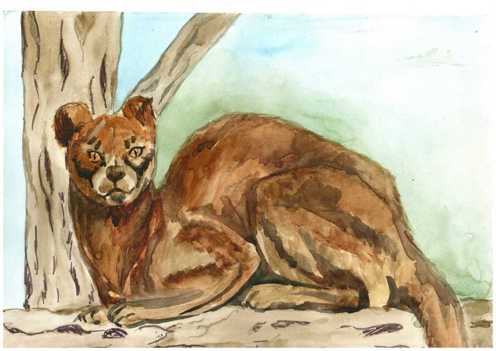 Fossa, Maxim Kuznetsov, Russia