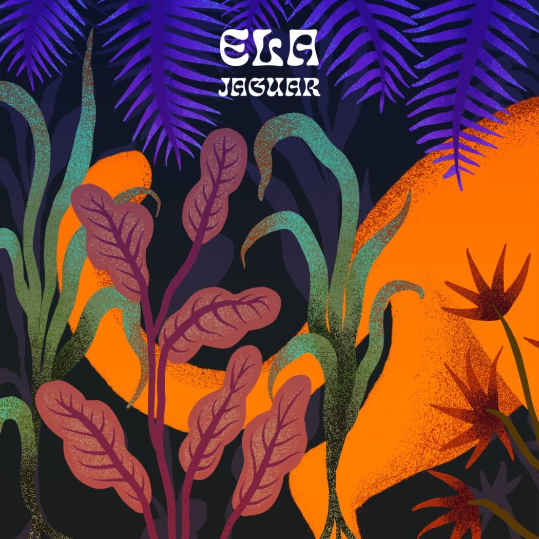 ela_jaguar_by_abismo-std