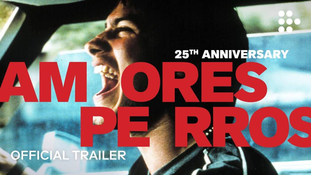 amores-perros-mubi-1