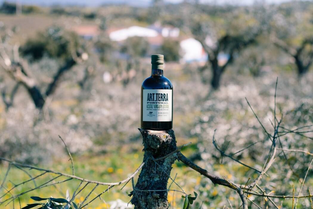 Olival da Casa Relvas no Alentejo
