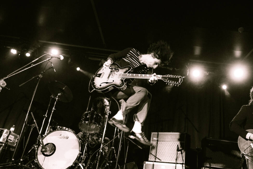 lemon twigs-15